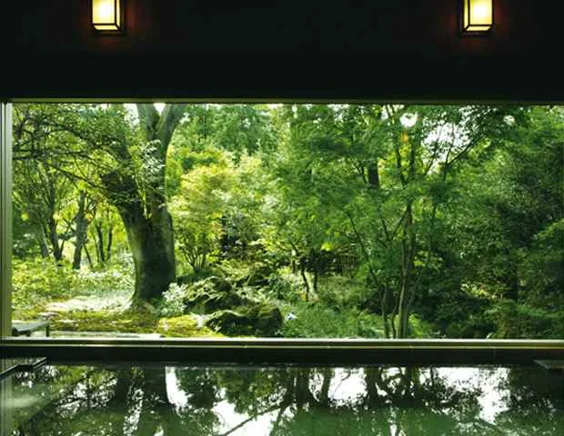 花湯の森