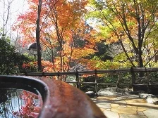 花湯の森