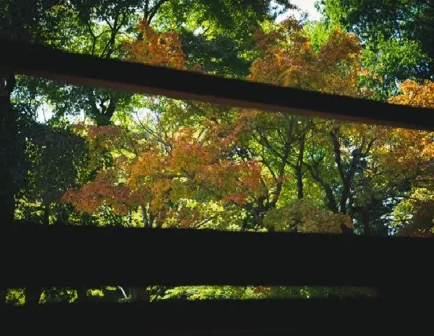 湯宿 羊山邸