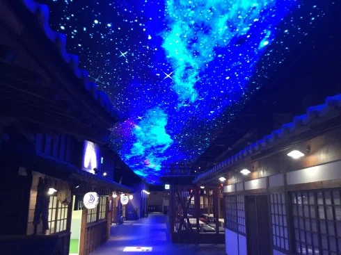 東京湯楽城