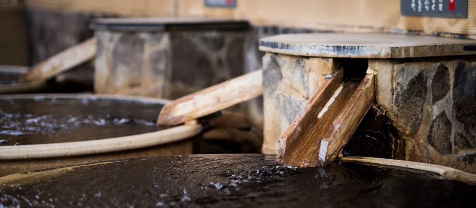 トップメイン画像2