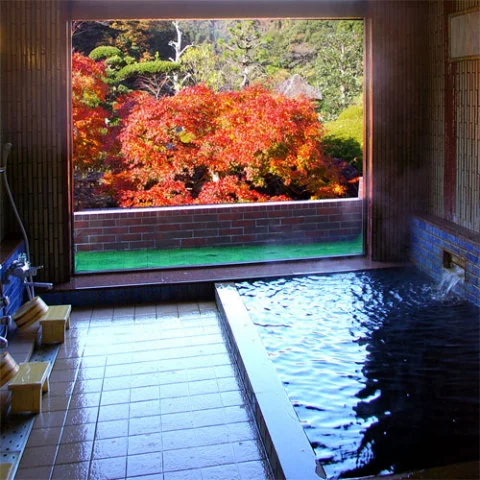 Yoro Keikoku Onsenkyo Ryokan Kiyomoto - Chiba