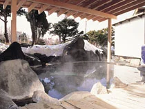御湯元湖畔の宿かわなみ