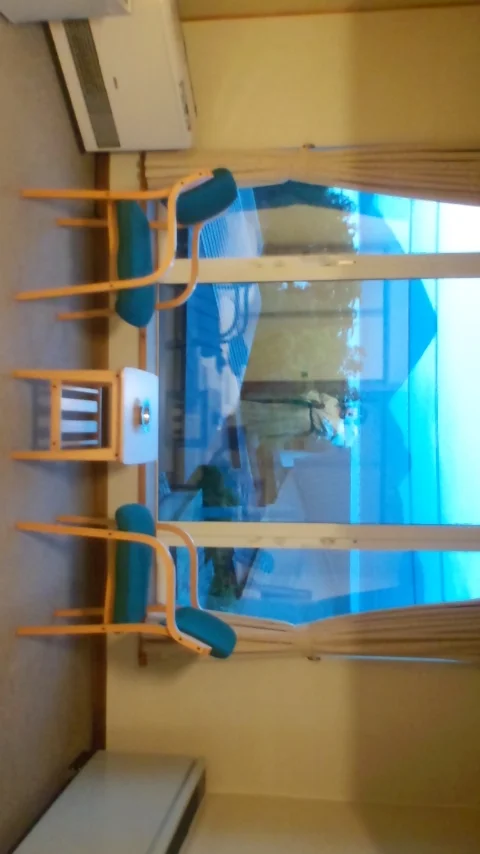 御湯元湖畔の宿かわなみ