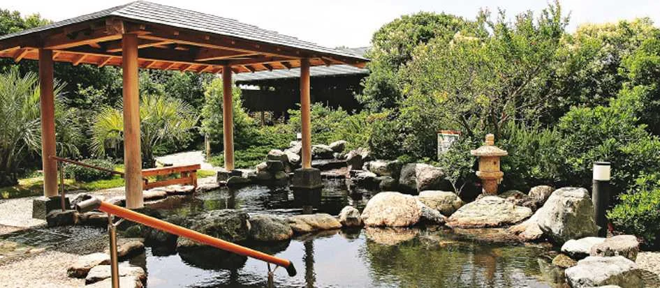 トップメイン画像4