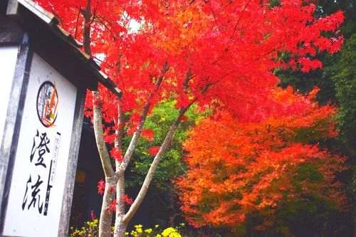 フォトアルバム2