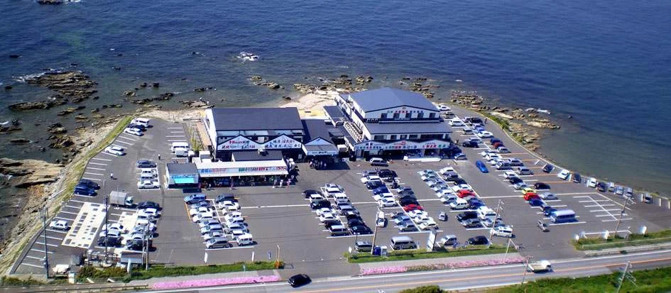 トップメイン画像1