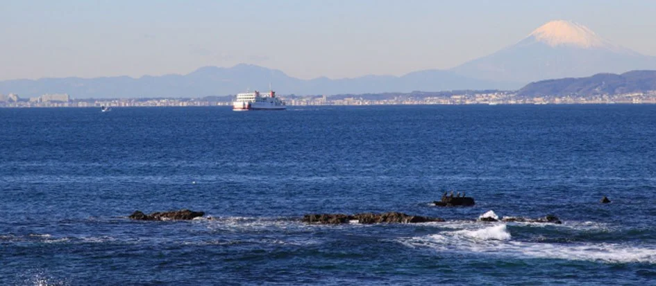 トップメイン画像4