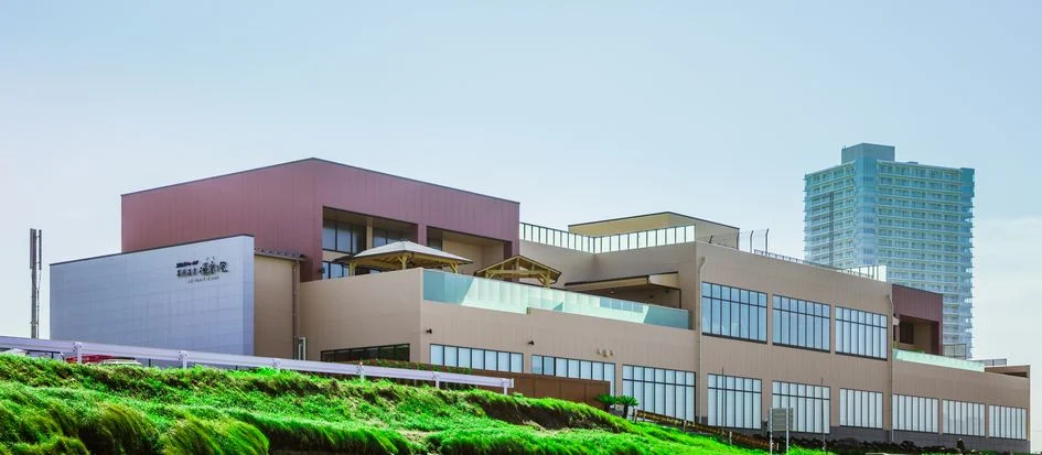 トップメイン画像5