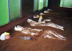 蓮沼シーサイドイン小川荘 - 千葉県