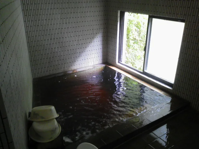 温泉旅館 川の家