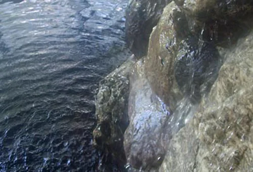 フォトアルバム9