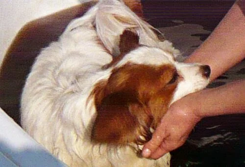 フォトアルバム7