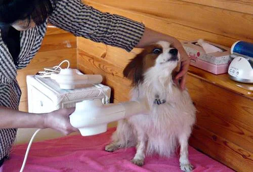 フォトアルバム8