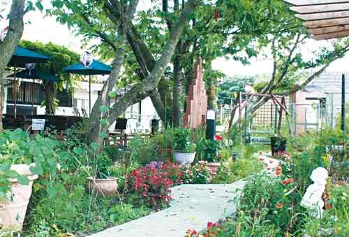 フォトアルバム9