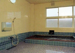 Shiawase-so Hot Spring Inn - Chiba