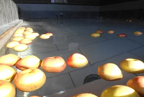 フォトアルバム15