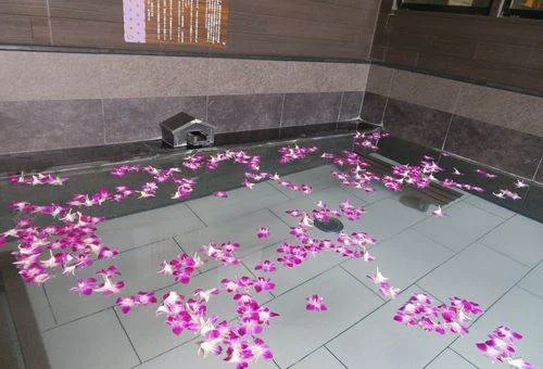 フォトアルバム16