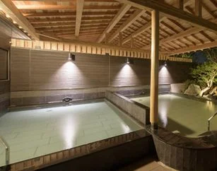 『 湯けむり 天然秘湯 龍泉の湯』<平日のみ>大人入浴+お食事セットプラン