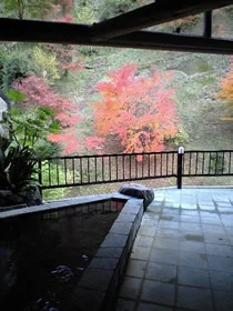 養老温泉 新川【閉館】