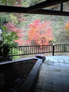 養老温泉 新川【閉館】