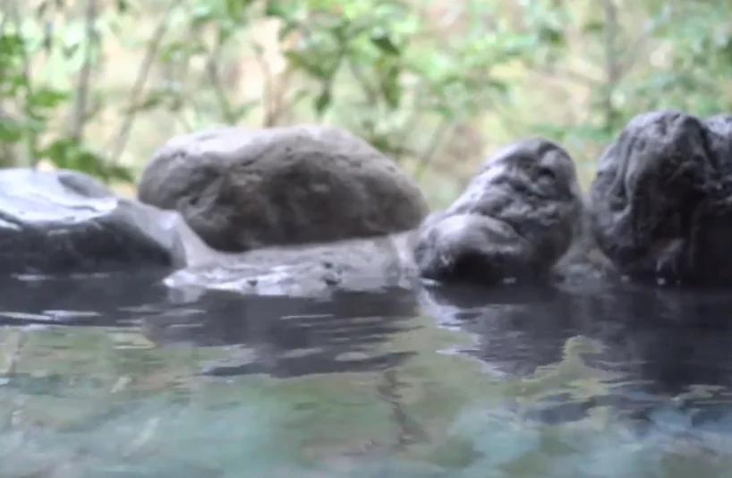 トップメイン画像7