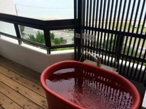 夢みさき