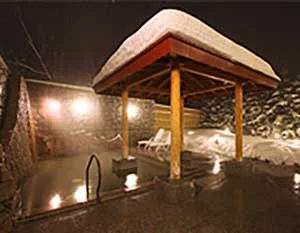 ホテルマウントレースイ レースイの湯(閉館しました)