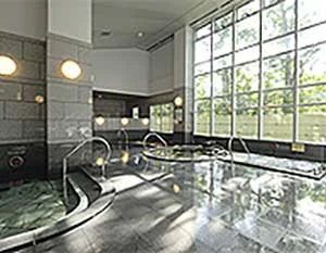 ホテルマウントレースイ レースイの湯(閉館しました)