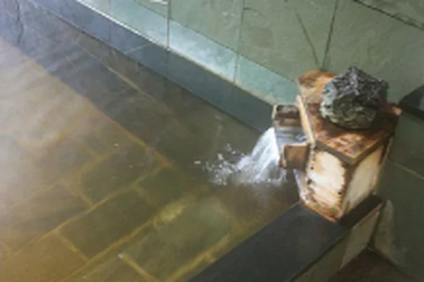 濃溝温泉 千寿の湯(のうみぞおんせん)