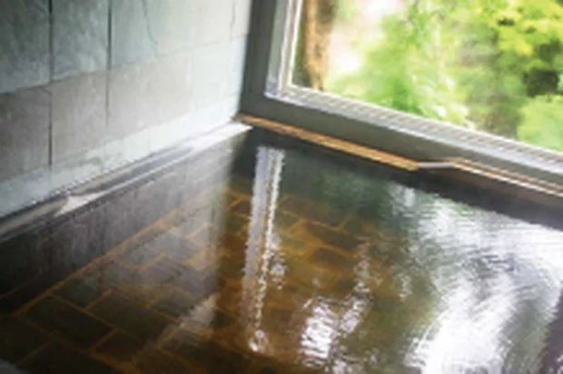 濃溝温泉 千寿の湯(のうみぞおんせん)