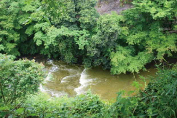 濃溝温泉 千寿の湯(のうみぞおんせん)