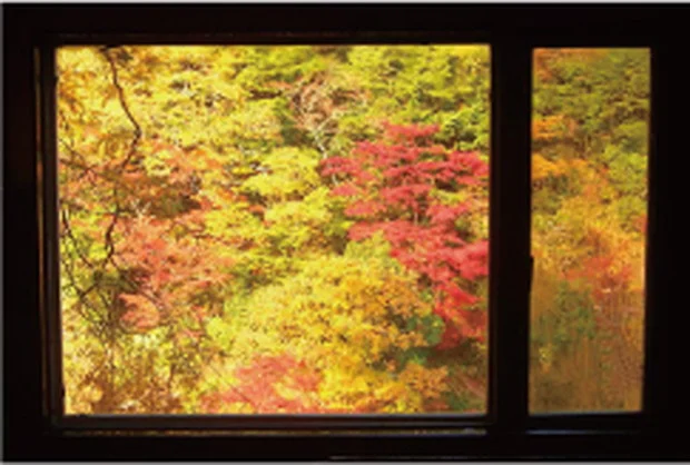 濃溝温泉 千寿の湯(のうみぞおんせん)