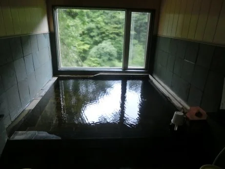 濃溝温泉 千寿の湯(のうみぞおんせん)