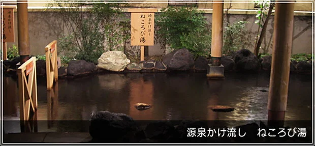 市原天然温泉江戸遊(閉館しました)