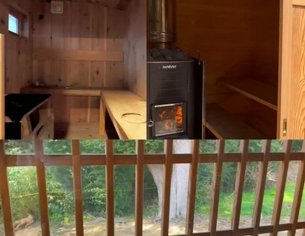 大根の森