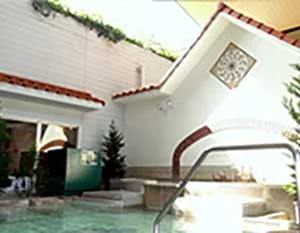 スーパー銭湯「四季彩の湯」(閉館しました)