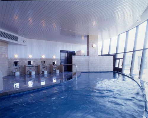 たてやま鏡ヶ浦温泉 館山シーサイドホテル - 千葉県