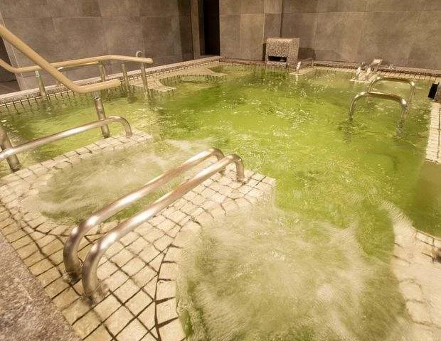 南柏天然温泉すみれ