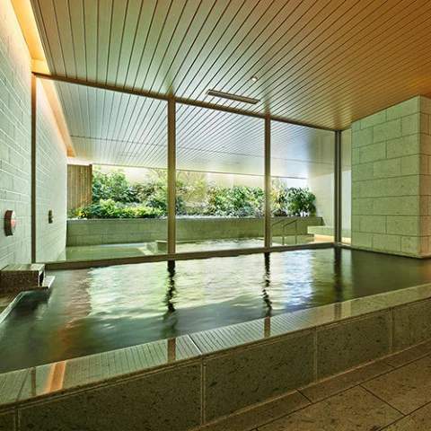 Mitsui Garden Hotel Kashiwanoha - Chiba