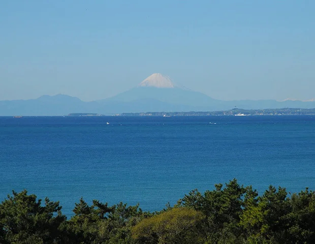 グランビュー岩井
