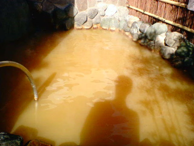 楽天地天然温泉 法典の湯