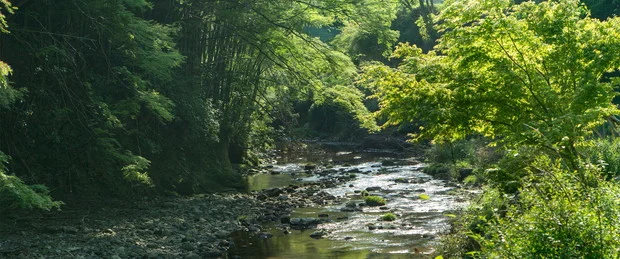 滝見苑 けんこう村 ごりやくの湯