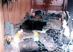 岬ペンション　ガジュマル