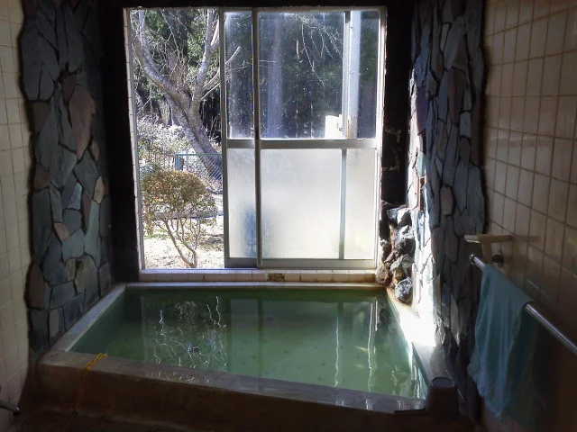 白岩温泉 白岩館（しらいわ）