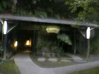 安房自然村 不老山薬師温泉（閉館しました）