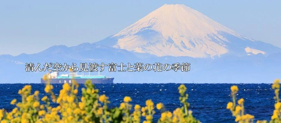 トップメイン画像4