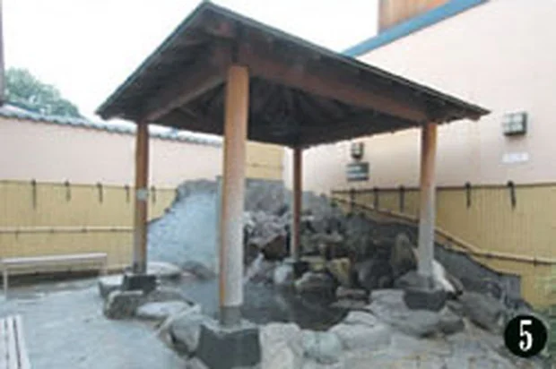 天然温泉 白井の湯（閉館しました ）