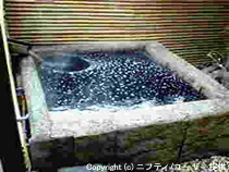 青堀温泉 ホテル静養園(閉館しました)