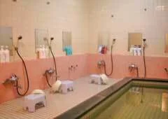 Shirako Onsen Shirako White Palace - Chiba